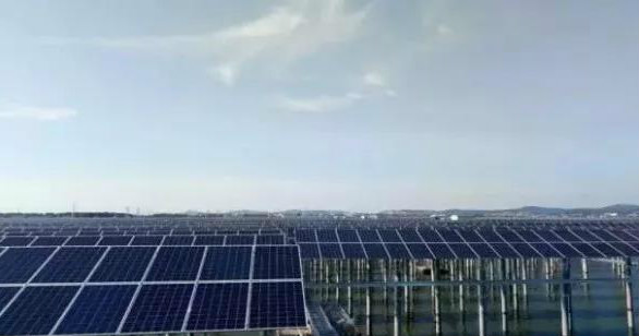 晶澳海外業(yè)務(wù)增長(zhǎng)迅速 巴西、馬來(lái)西亞光伏電站均采用其高效單晶PERC組件