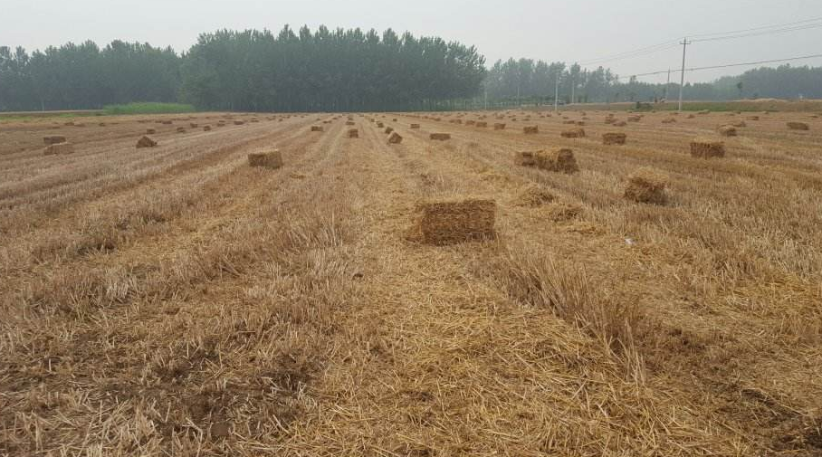 銅山棠張村千戶(hù)居民用上沼氣