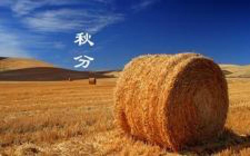 吉林省政協(xié)積極推進農作物秸稈資源綜合利用