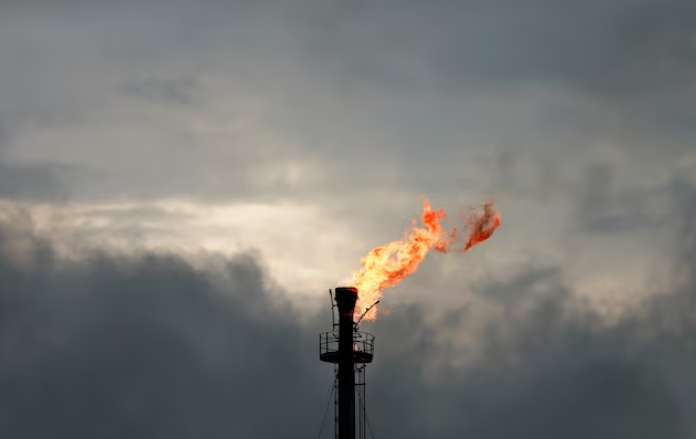 尼日利亞頒發天然氣燃燒項目許可證